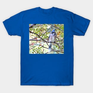 Blue Jay No.4 T-Shirt